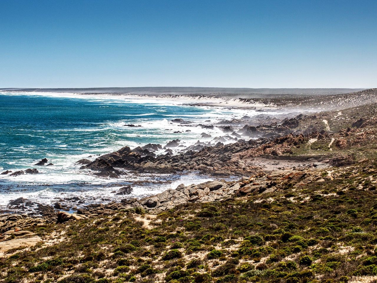 Namaqua Flower Beach Camp | LekkeSlaap